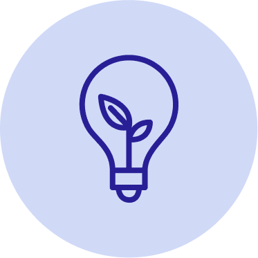 Eine Glühbirne, in der eine Pflanze wächst