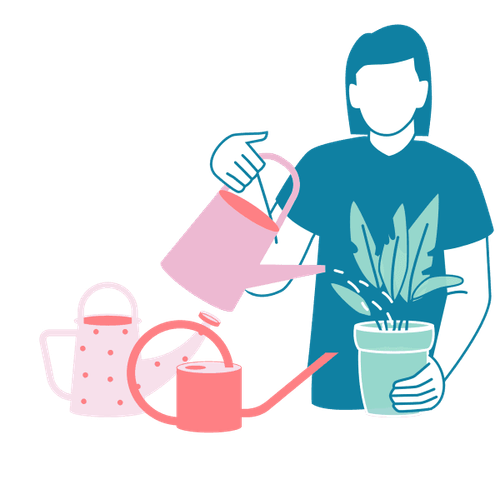 Eine Person hält eine Gießkanne in der Hand und gießt eine Pflanze